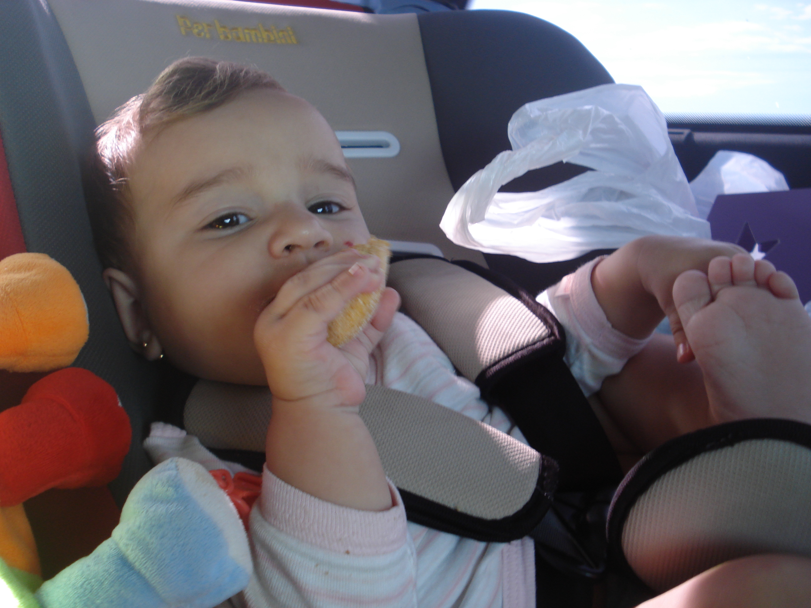 fotos/2011 - Los Reartes/DSC00627.JPG